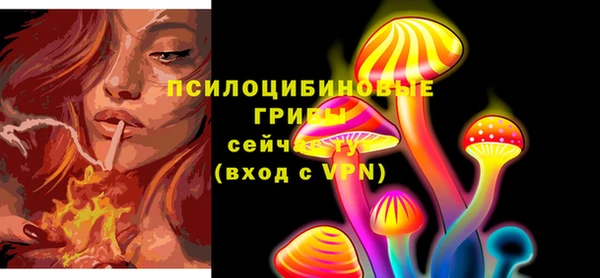 молекула духа Арсеньев
