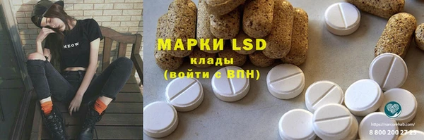 молекула духа Арсеньев