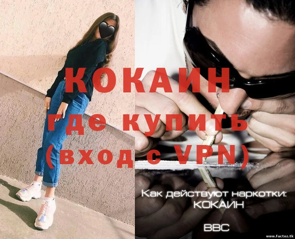 молекула духа Арсеньев