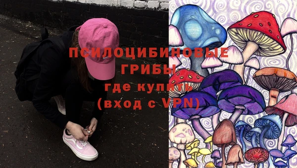 трава Армянск