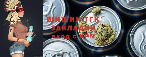 молекула духа Арсеньев