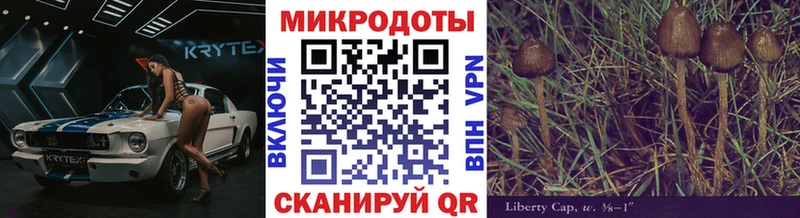 Галлюциногенные грибы Psilocybe  гидра онион  Медвежьегорск  что такое наркотик 